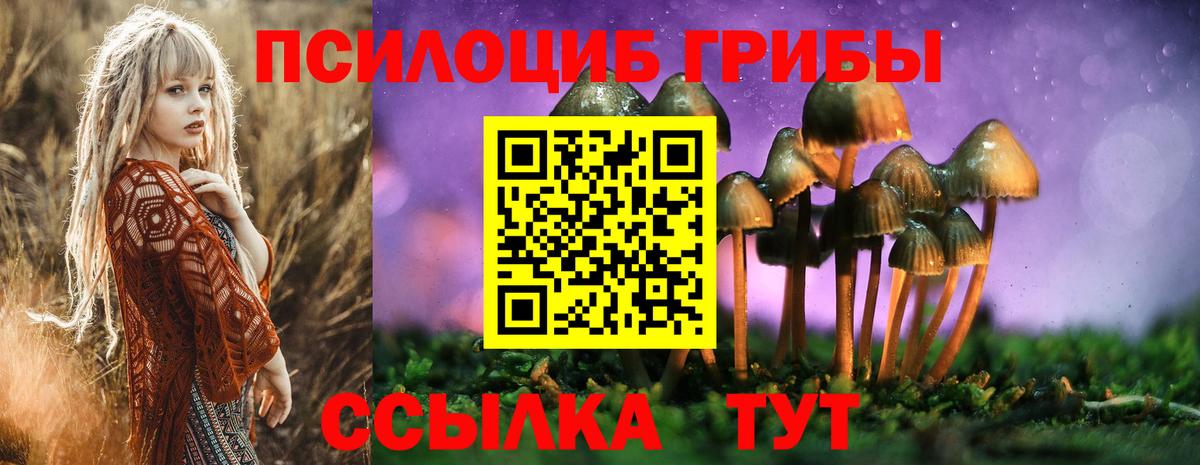 Псилоцибиновые грибы мицелий Кострома